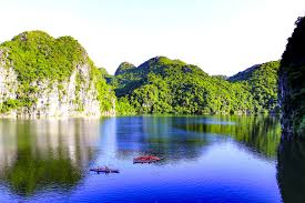 Các vườn quốc gia ở Việt Nam: Nhiệm vụ và chức năng chính 