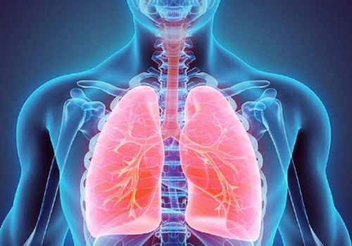 Viêm phổi có lây không, lây qua đường nào là chủ yếu? 