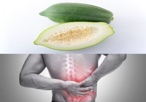 Cách chữa bệnh đau lưng bằng quả đu đủ xanh có cả hạt 