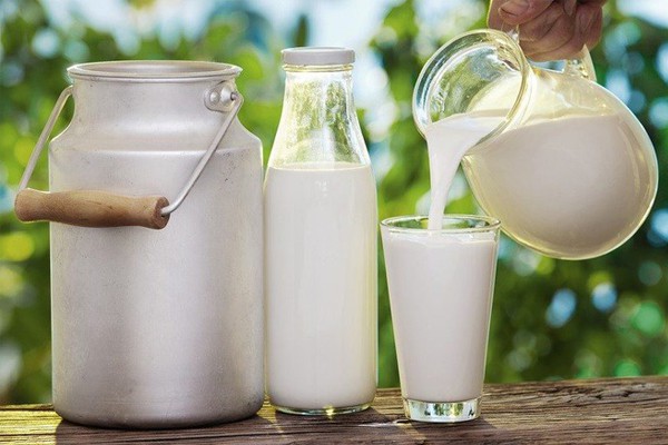 Viêm gan b uống gì hết, có nên uống sữa và uống được tam thất không? 