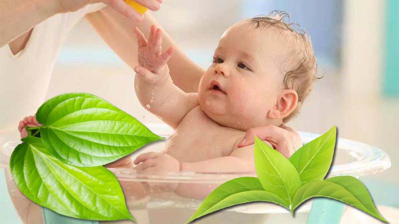 Bệnh chàm sữa ở trẻ sơ sinh lên ở mặt, người như thế nào, tắm lá gì? 